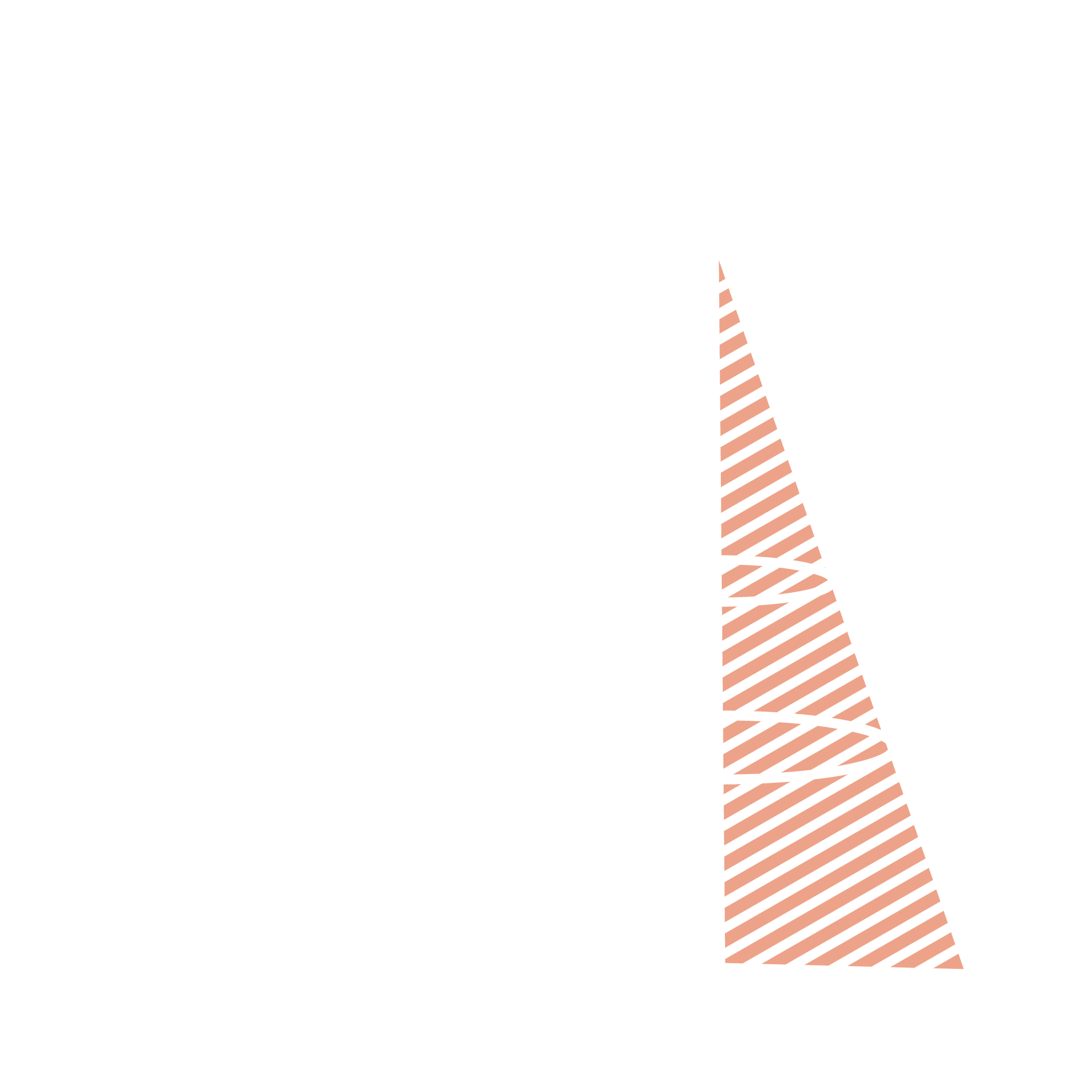 Types of Projects