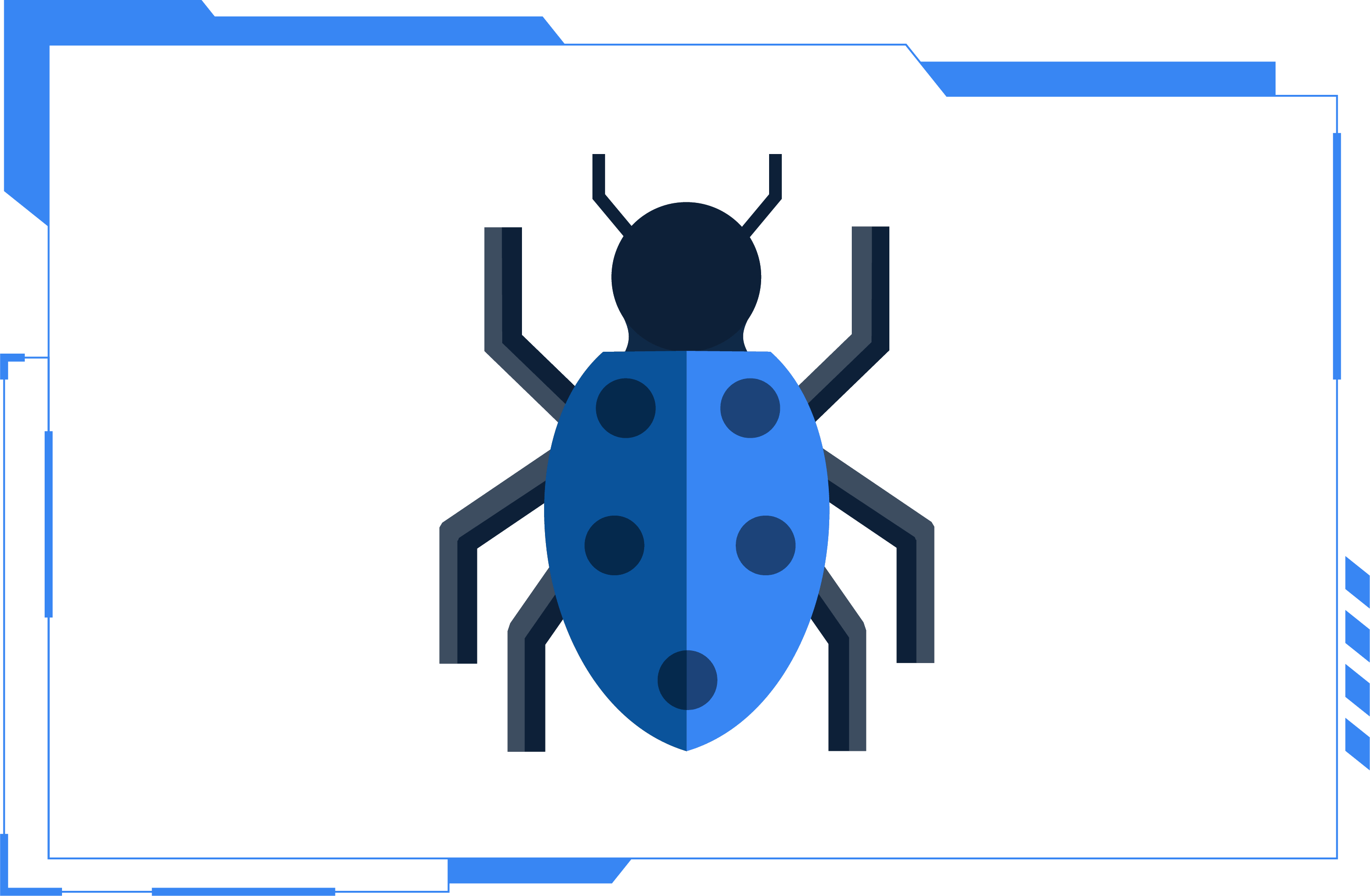Bug Bounty