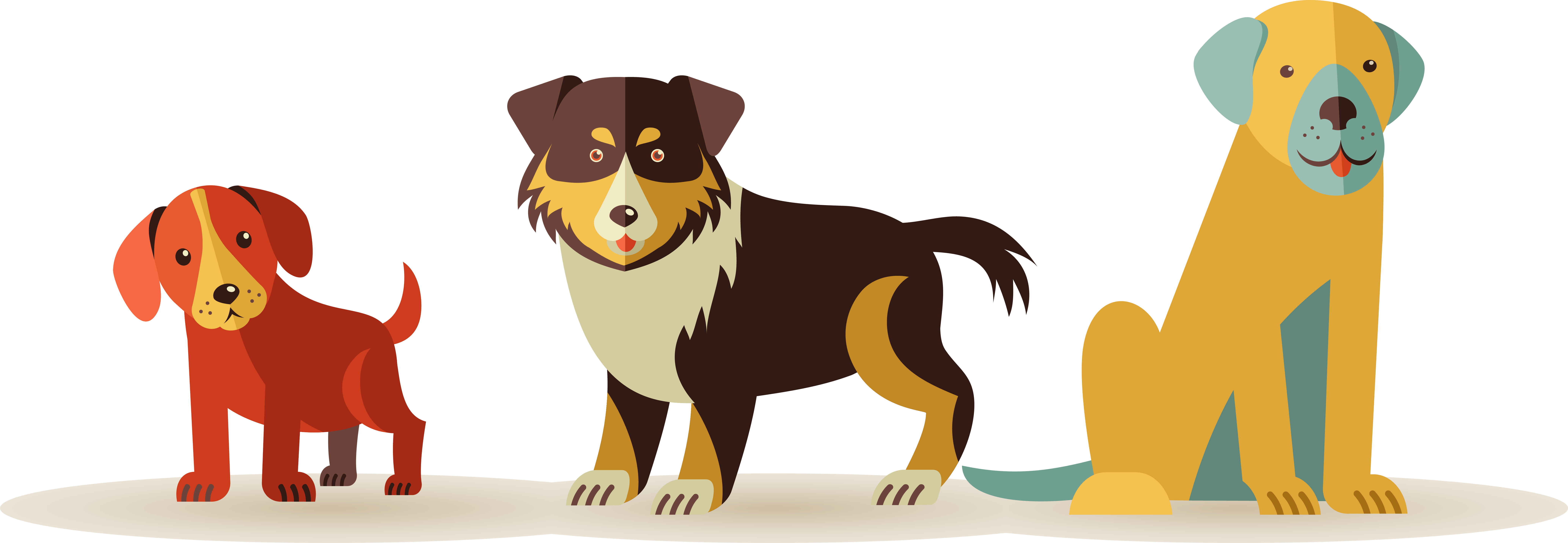 Namma Paws